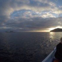 Out on the boat at dawn to collect urchins.
